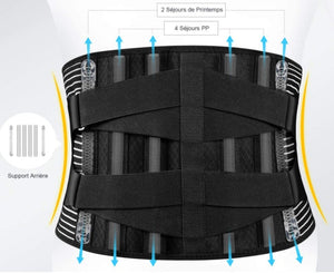 Back Support Belt